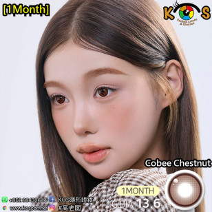 [1Month]FiPN Cobee Chestnut 피픈 코비 체스트넛